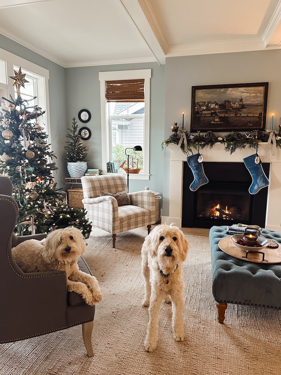 Christmas House Tour 2023