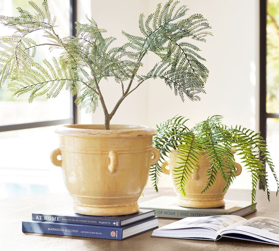 Let's Talk About Trends (Butter Yellow Trend 2024)