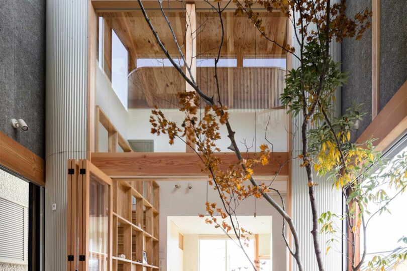 10 Modern Homes With Living Trees Growing Inside