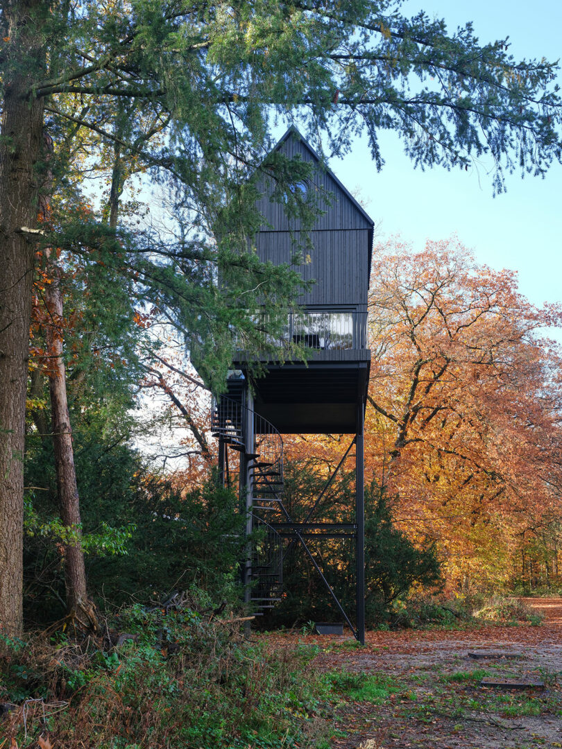 A tall black cabin in the woods.