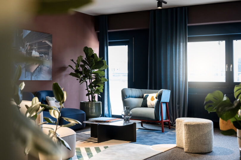 Modern living room with NOA stylish furniture and indoor plants.