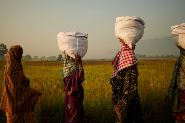 Boll & Branch CEO touts “transparency redefined”