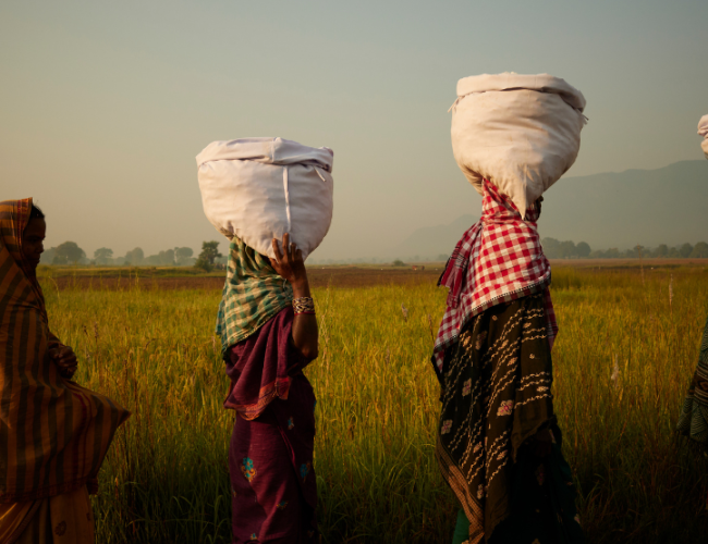 Boll & Branch CEO touts “transparency redefined”