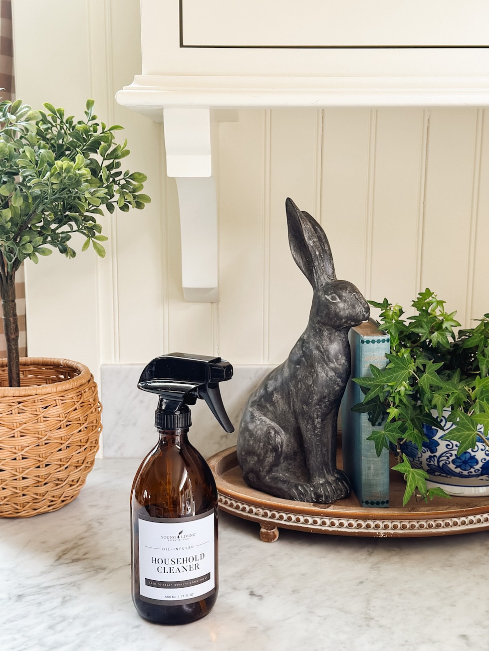 Spring Cleaning Tips, Hacks and DIY Recipes!